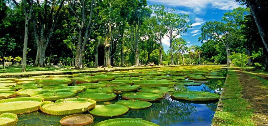Lotus Villa, Residences Le Chaumet, Pereybere Bain Boeuf 外观 照片